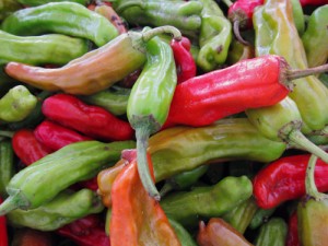 Pimientos de Padron