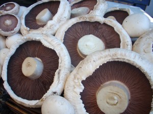Mushrooms