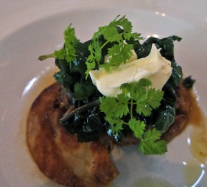 Perogies with Duck Ragout Perogies with Duck Ragout