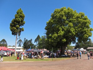Real Food Festival