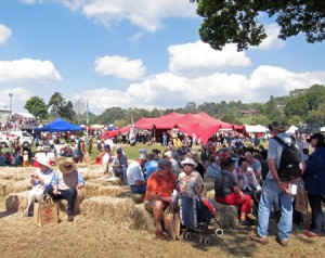 Real Food Festival
