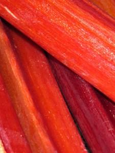 Rhubarb